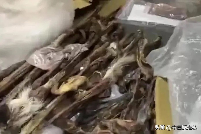 黄埔海关2018国门利剑第三次行动,国门利剑2019十大案件