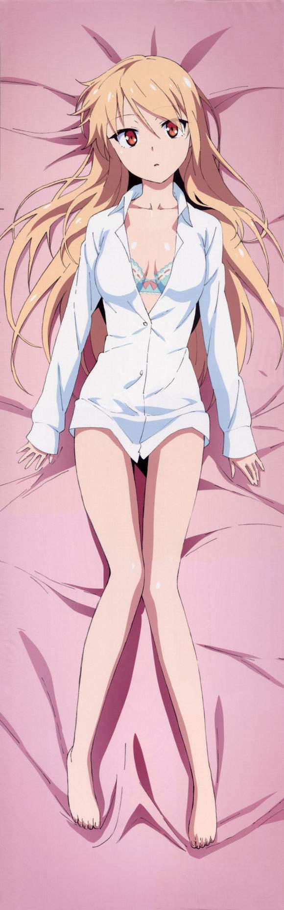 樱花庄的宠物女孩动漫解说,动漫樱花庄的宠物女孩精美图片