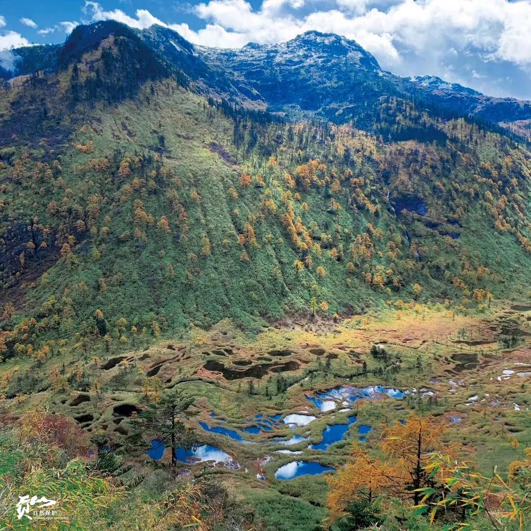 遇见怒江丨这是“我”手机镜头里的贡山风光