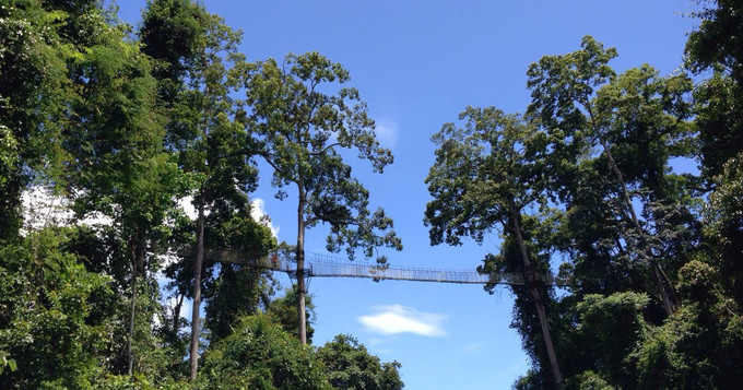 西双版纳吃住行玩攻略,西双版纳吃住行三日游