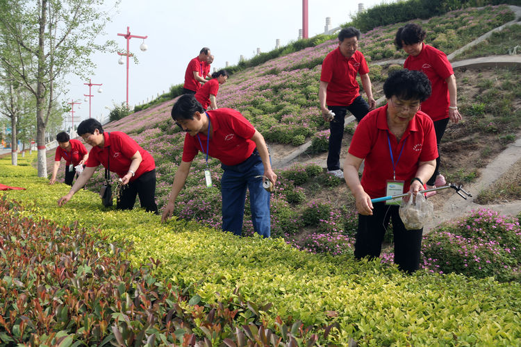 三八妇女节巾帼英雄人物,三八妇女节致敬各条战线巾帼英雄