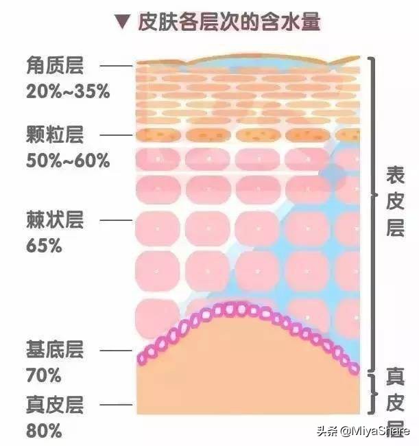 皮肤敏感起皮用什么底妆,皮肤干底妆怎么化不起干皮