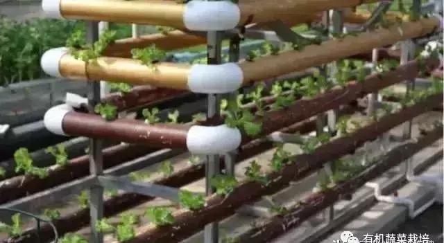 想搞蔬菜大棚养殖怎么弄,无土栽培蔬菜营养液配方