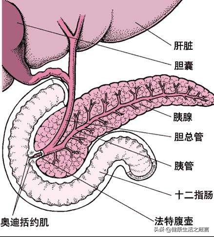 微小胆结石最佳治疗方法,小小的胆结石危害有哪些