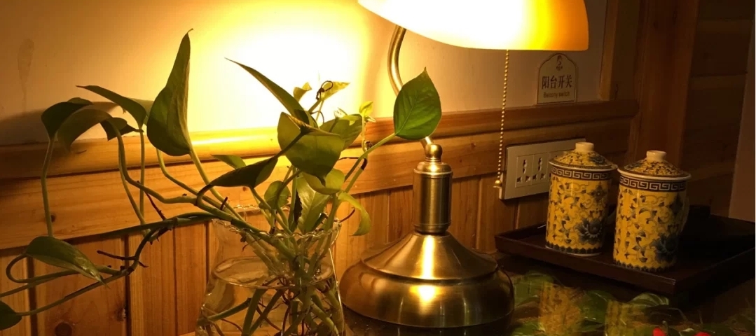 桂林阳朔一家四口自由行详细攻略,桂林阳朔不跟团自己玩攻略