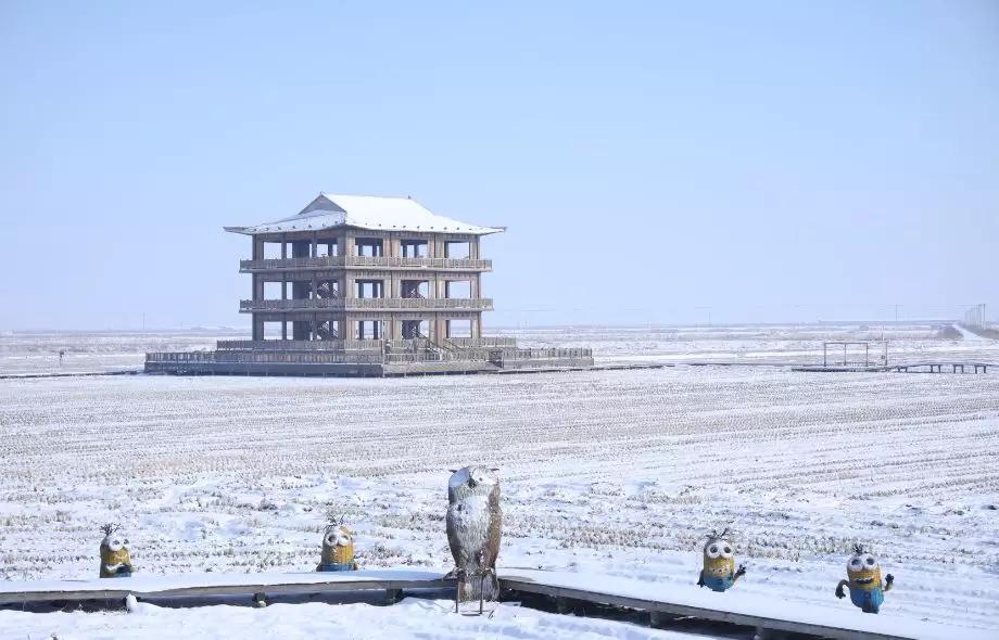 下雪后的海边图片大全,六月份的红海滩