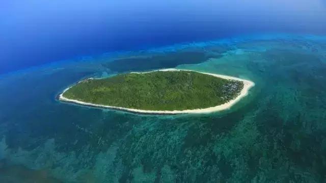 杨颖黎族海岛素颜照,海岛素颜照