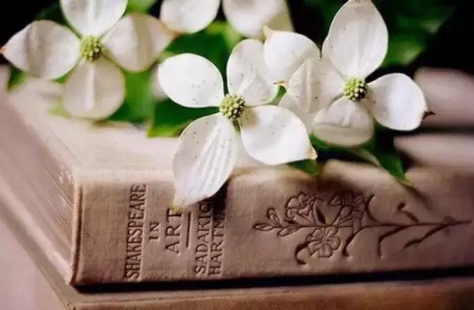 离婚后因为孩子的事如何避免吵架,两夫妻吵架离婚该怎样打破僵局