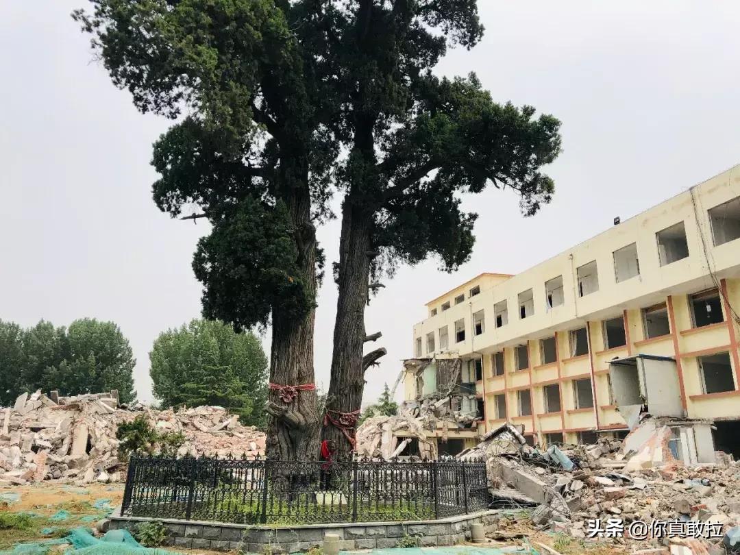 临沂骨科医院搬迁到哪里,临沂市骨科医院搬迁到哪里了