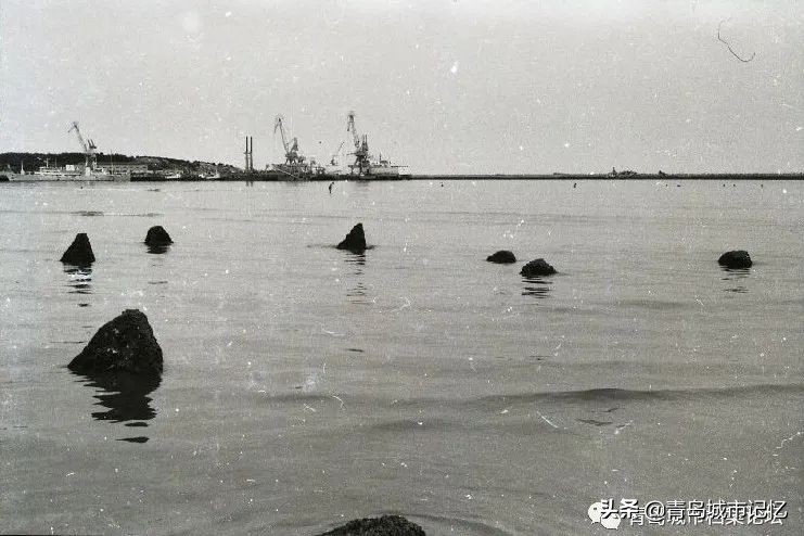 浮山湾畔完整版,浮山湾全景