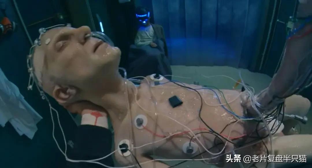 十部必看的经典电影战狼,战狼十大经典电影