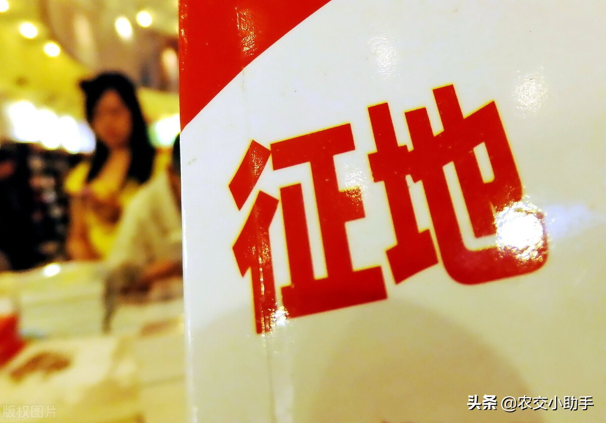 2021征地地上附着物补偿标准,2024农田征收补偿标准