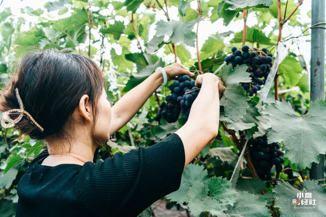 清徐酸辣口味,清徐是个温暖的城市