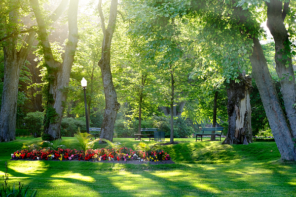 自然资源局整治典型案例,自然资源部违法案件查处工作