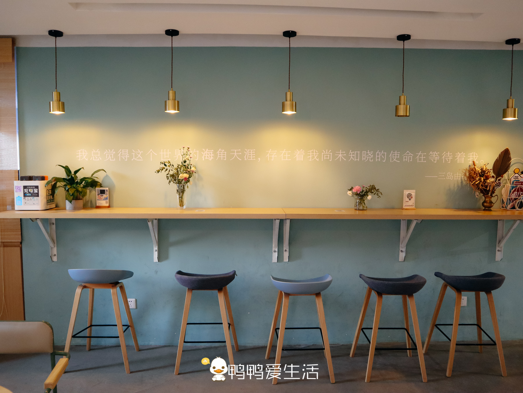 厦门从聿书店网红墙,从聿书店自由行热门攻略