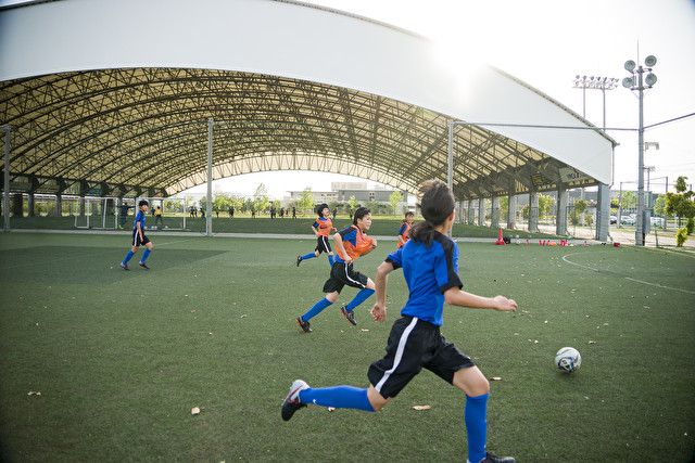 日本女足精神,日本足球愿景