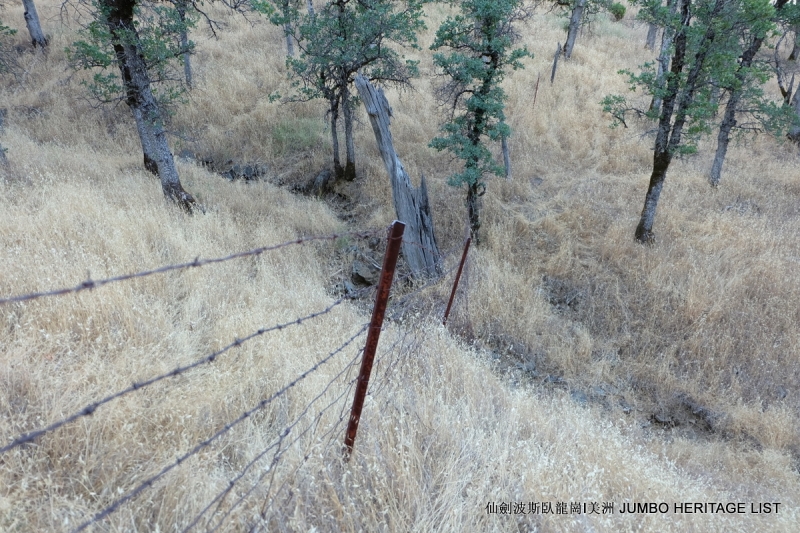 第3045回：人生一世草生一春，来如风雨去似微尘