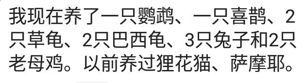 养一只鹦鹉它晚上说话吓人吧,养一只小鹦鹉像猫狗一样