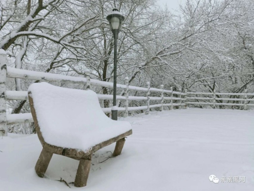 天山雪的现代诗歌,北国雪诗歌原文