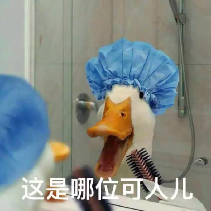 军运会武汉几个比赛场馆,武汉军运会比赛项目共是多少个