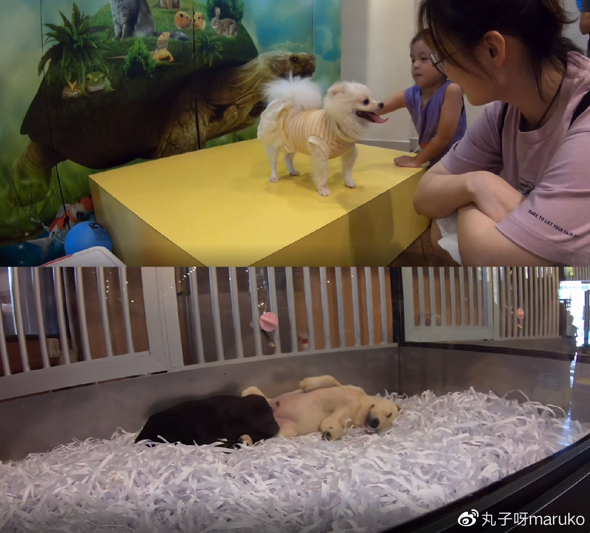 马来西亚槟城欢乐假期之旅,马来西亚槟城二日游攻略