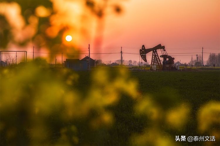 叶甸古镇仓场老街,江苏泰州姜堰叶甸仓场