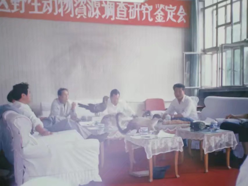 90年代伊春往事,伊春林区往事