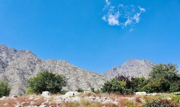 随心走旅游,宁夏自由行旅游攻略