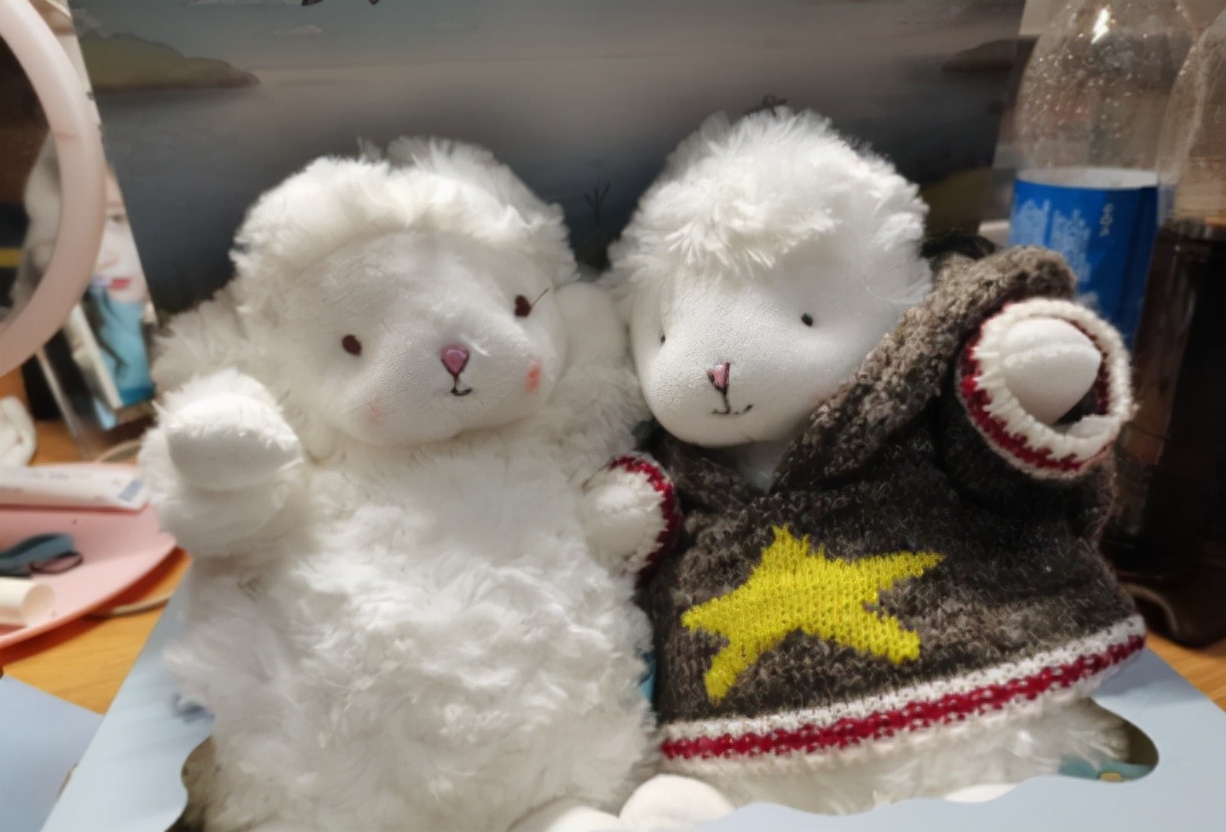 女朋友姐姐过生日送什么礼物合适,分手后女朋友过生日送什么礼物好