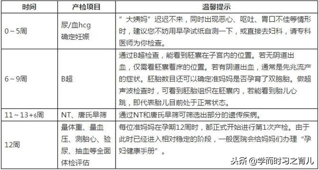 怀孕1到10个月需要注意什么,怀孕期间1-10个月的注意事项