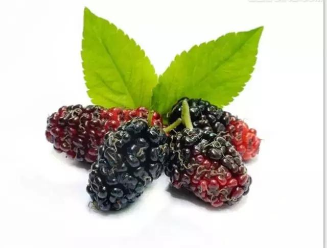 男人肾虚出冷汗吃什么,男人肾虚出虚汗吃什么药呢