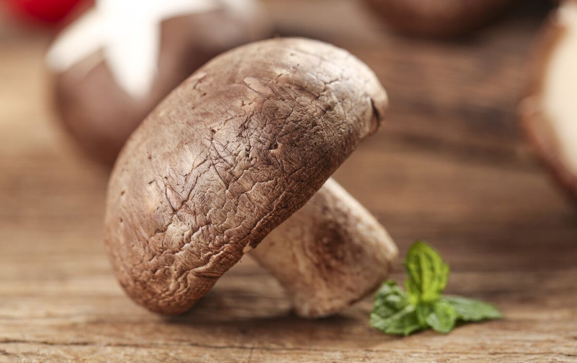 香菇买干的还是新鲜的划算 (香菇买新鲜的好还是干货的好)