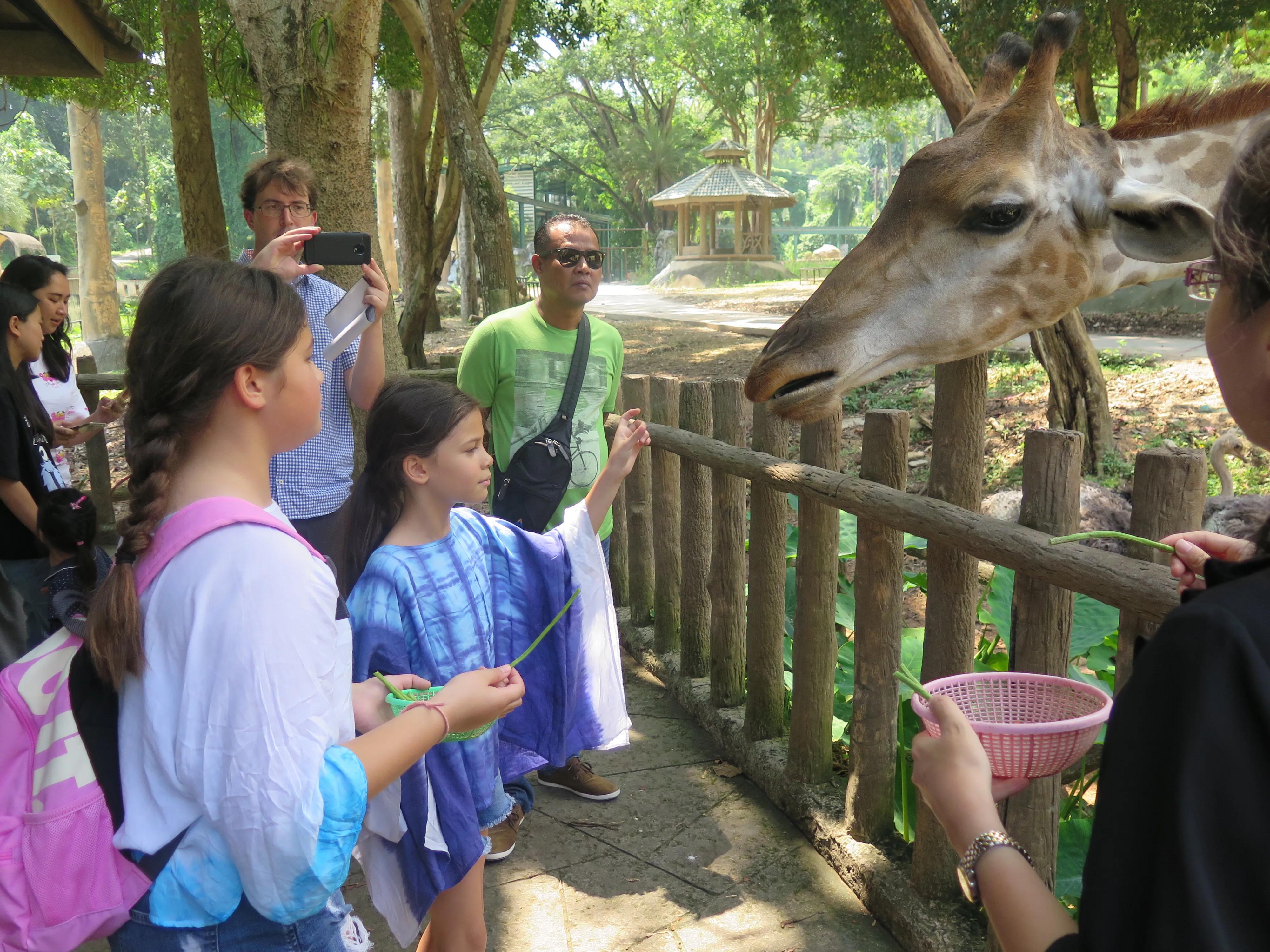 泰国旅游一定要吃什么,泰国旅游必须知道的几个景点
