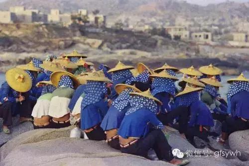 惠安女文化研究,中原区的文化遗址有哪些