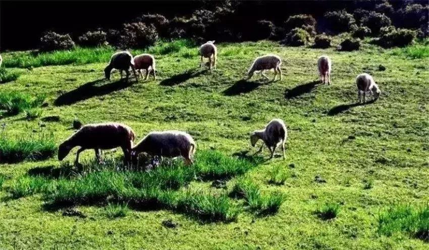 去兰坪旅游值得逛的地方,去了一次就喜欢的城市