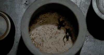 古人锻炼注意力,古人的专注力比现代人强