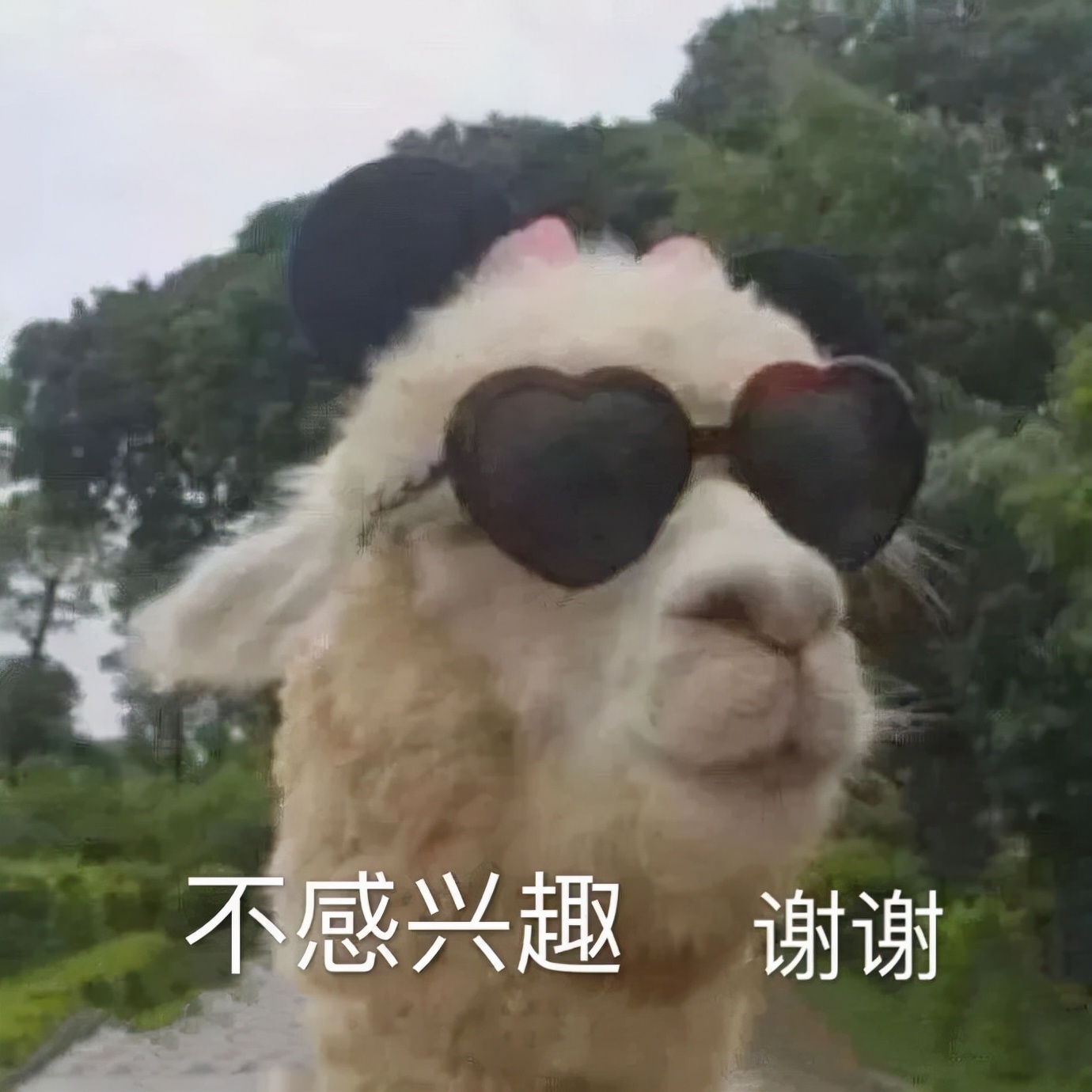 中金校招目标学校,中金公司2024校招学校名单