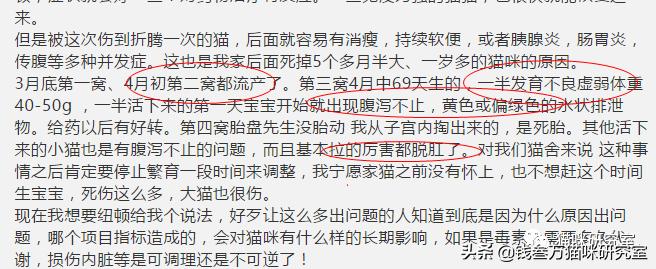 纽顿s猫粮测评,纽顿猫粮怎么辨别真伪