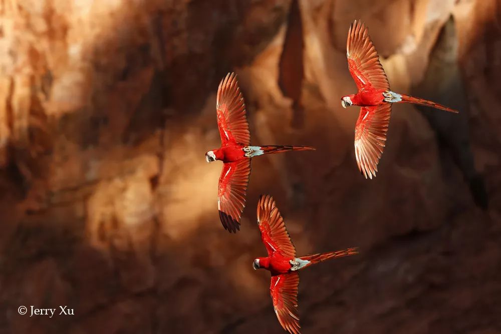 汇率起起伏伏，自然旅行跟着这张表格走，最划算