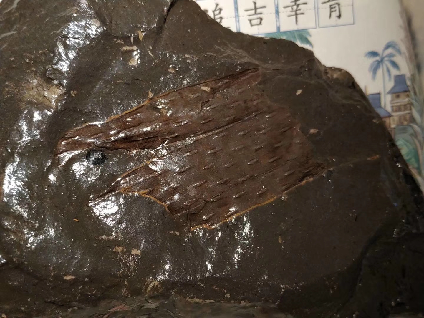 数一数黄龙山紫砂矿井,聊一聊旧时光紫砂开采故事