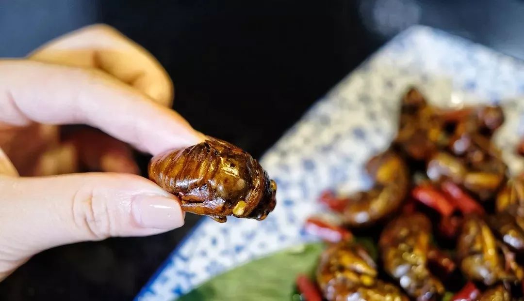 长沙最有名的变态美食,长沙变态美食排行榜