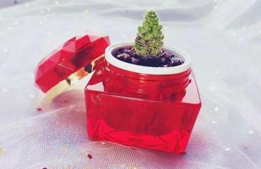 家里破烂太多怎样收纳变废为宝,断舍离清理废物