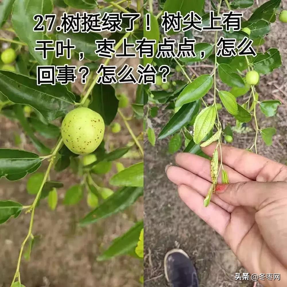 鐢叉祦鍗婁釜鏈堥蓟瀛愪笉閫忔皵鎬庝箞鍥炰簨,鐢插彛涓嶆剤鍚堟槸鎬庝箞鍥炰簨