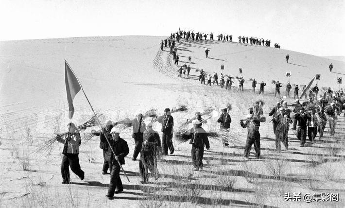 榆林市镇川镇老照片 (榆林市卫校老照片)