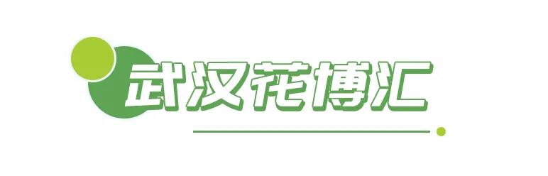 春光恰好清明小长假赏花指南,清明小长假花海