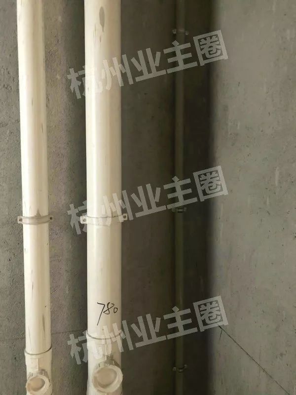 绿都什么意思,绿都包括哪些绿