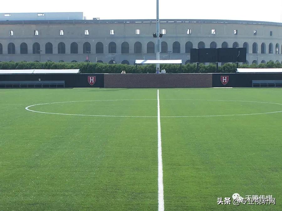 外国体育观看软件,外国体育系统