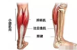 手臂抬不起来的手法,手臂抬不起来怎么训练
