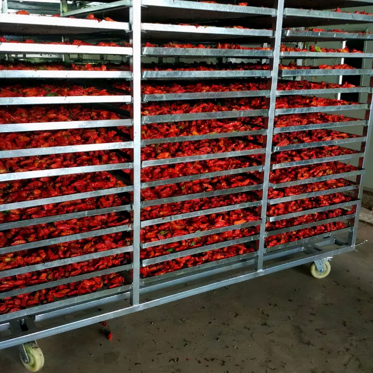 工业辣椒简介,工业辣椒成功不成功