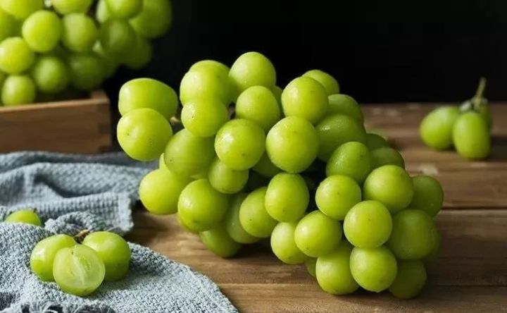 阳光玫瑰网红水果,阳光玫瑰水果视频